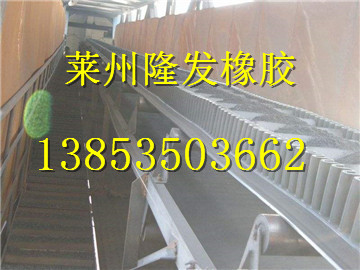 超寬輸送帶